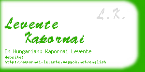 levente kapornai business card